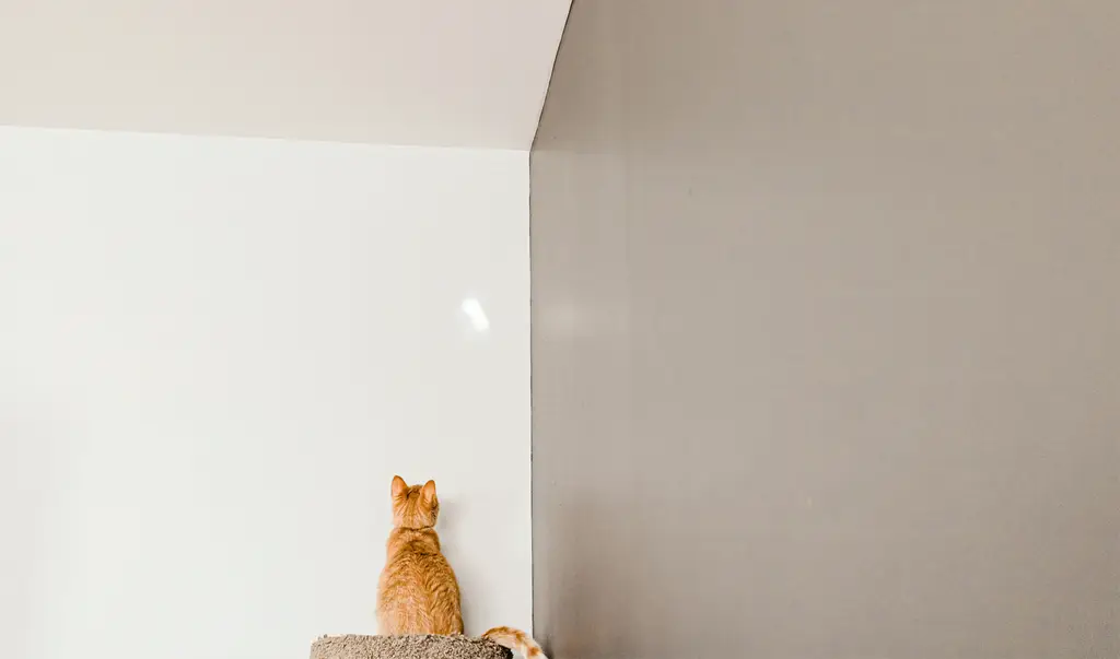 宜蘭平價住宿攻略：省錢遊宜蘭，住宿不貴也能玩得盡興